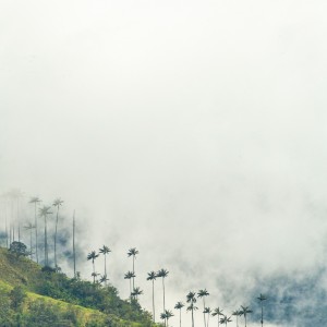 SALENTO COLOMBIA